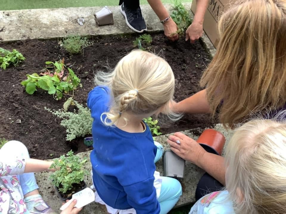 Children planting herbs and strawberries in the raised beds with a member of staff